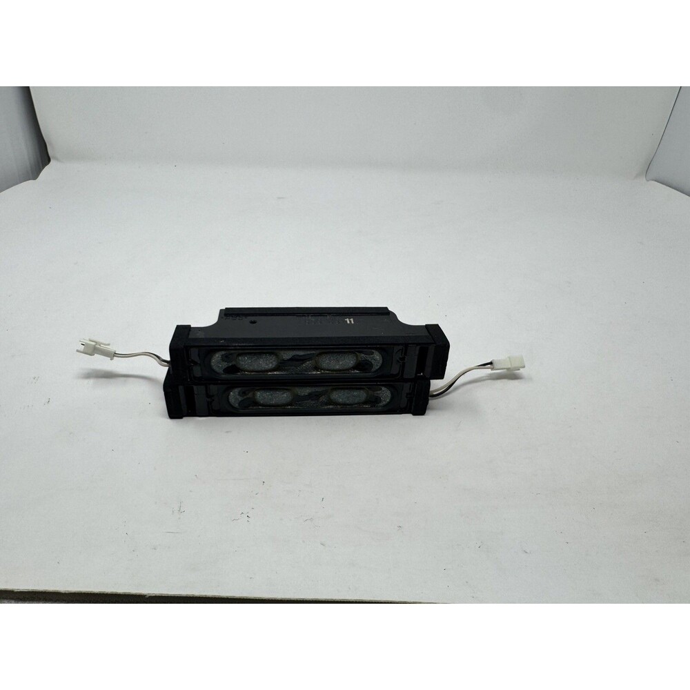 Sony 1-858-963-21 / 1-858-963-11 Speaker Set from a XBR-55X900C